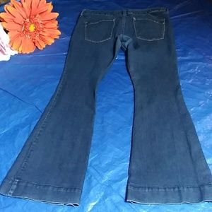 Express Wide Flare Leg Jeans